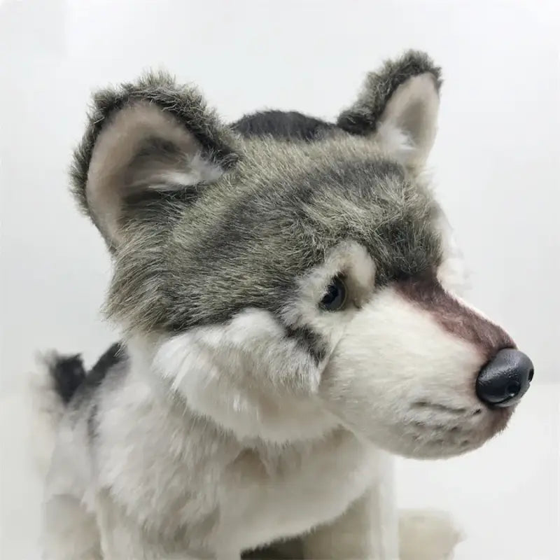 Lopar le Loup Solitaire