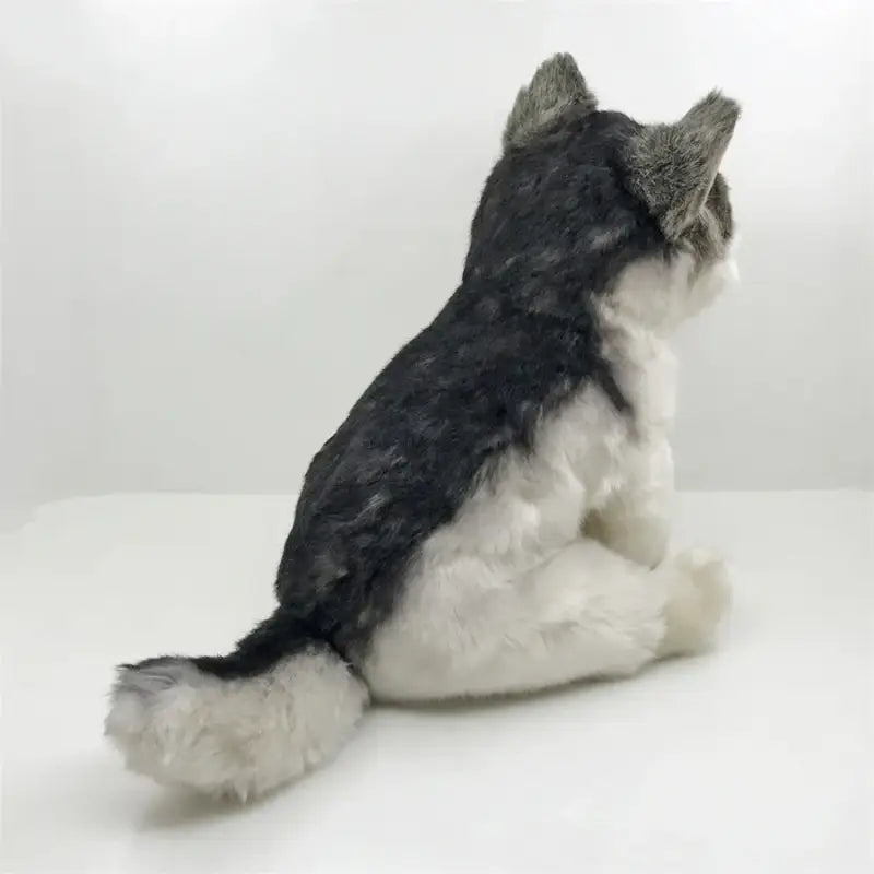 Lopar le Loup Solitaire