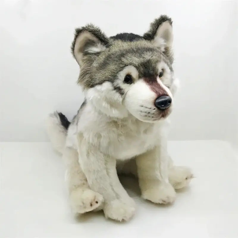 Lopar le Loup Solitaire