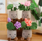 plante en peluche