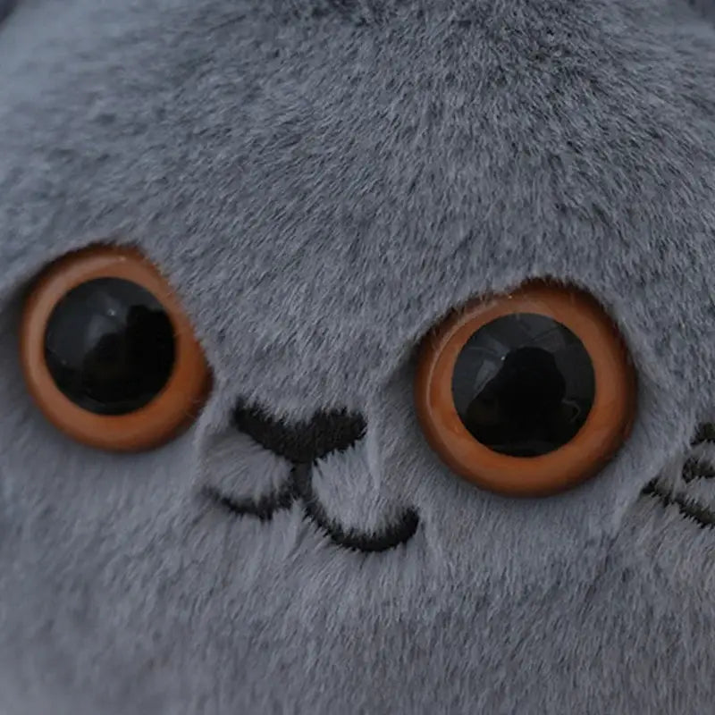porte monnaie chat