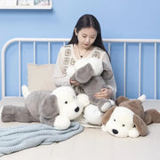 chien en peluche
