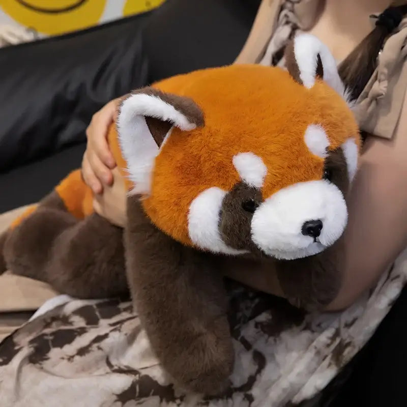 raton laveur en peluche