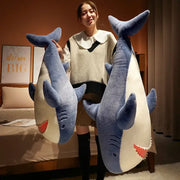 requin en peluche