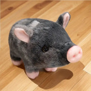 peluche cochon noir