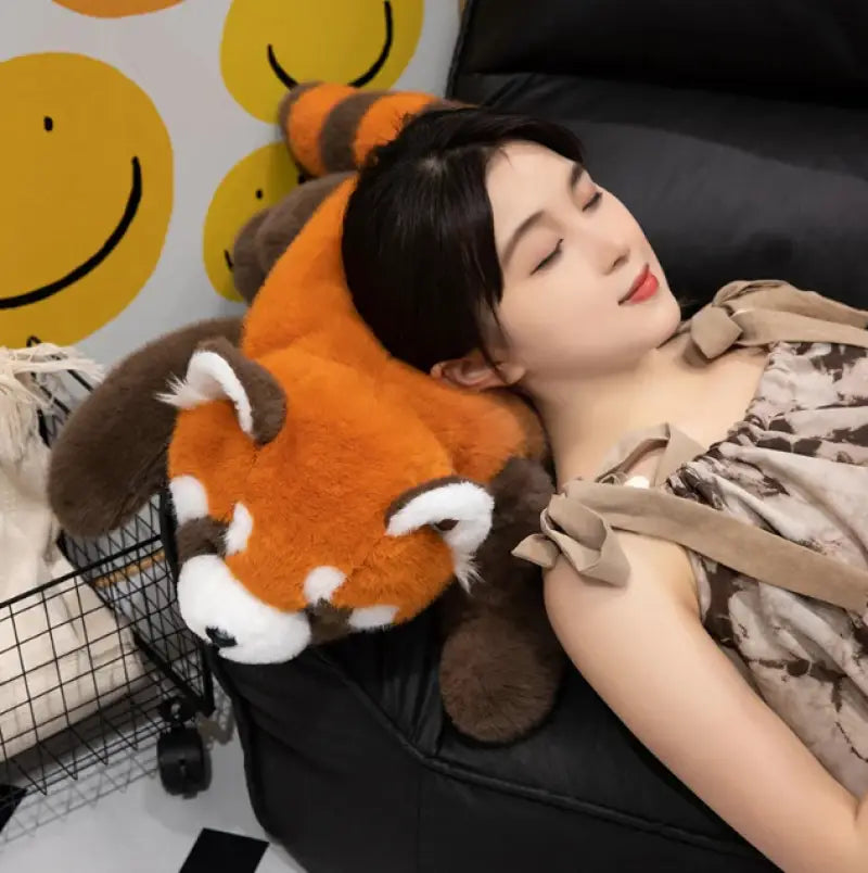 raton laveur en peluche
