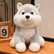 peluche husky realiste