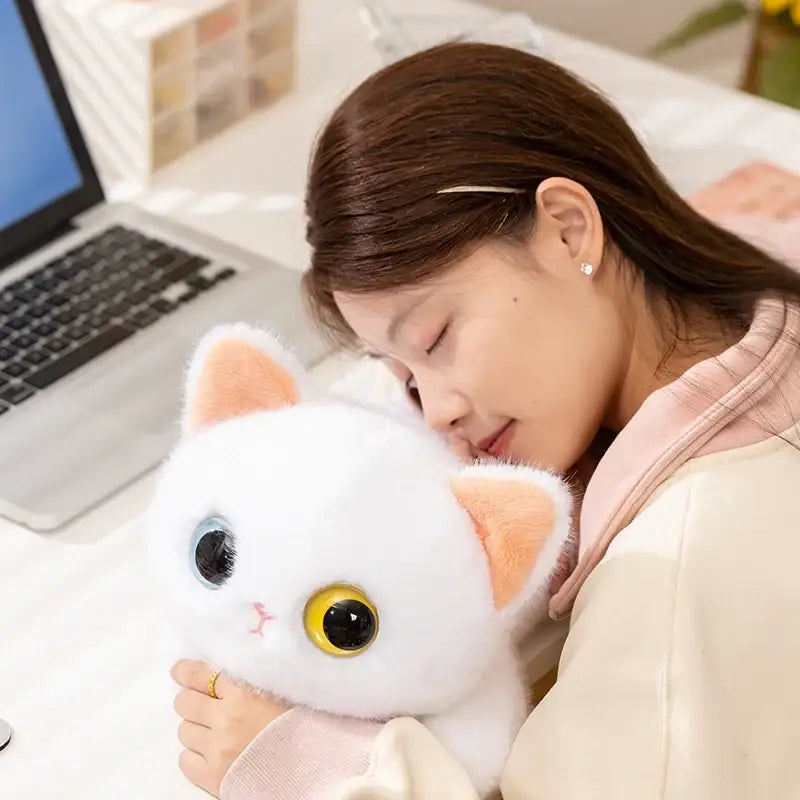 chat en peluche