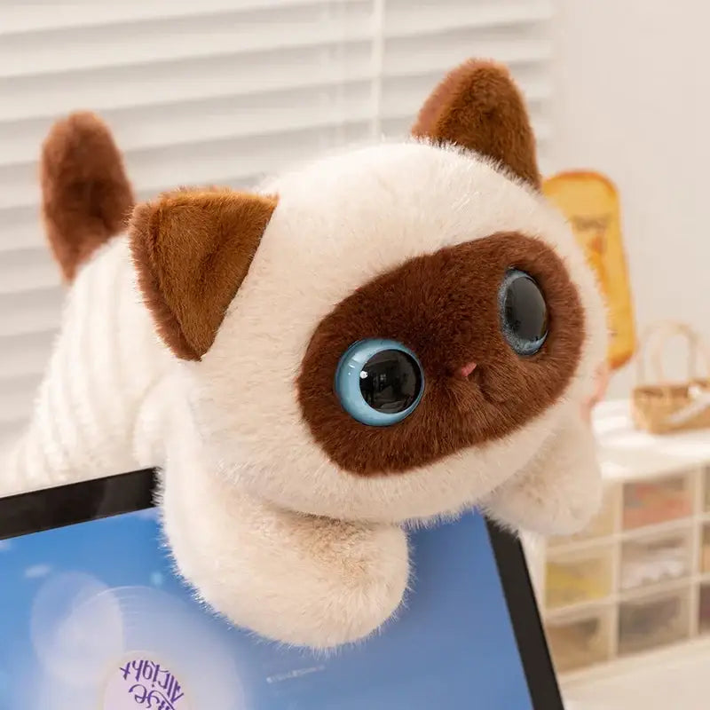 chat en peluche