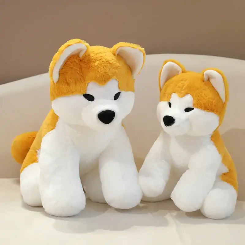 peluche shiba