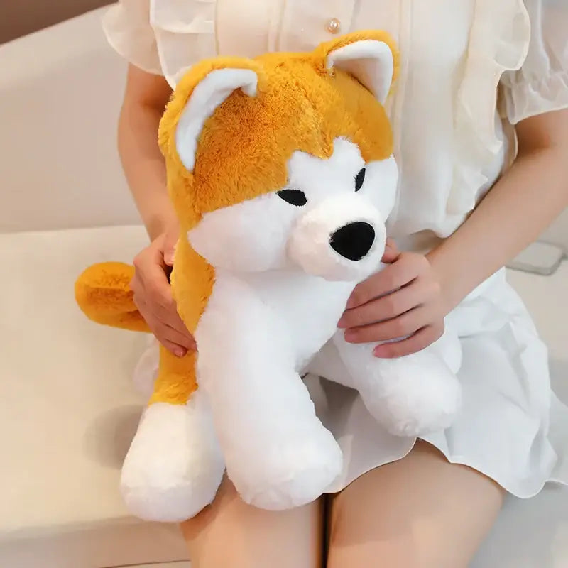 peluche shiba