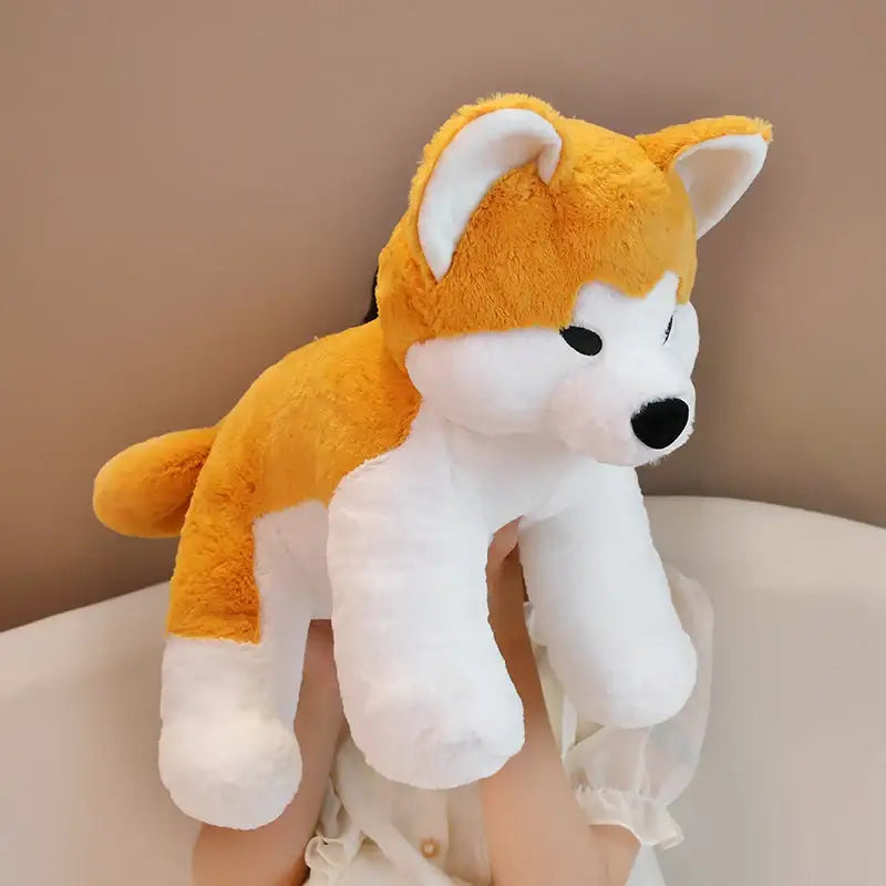 peluche shiba