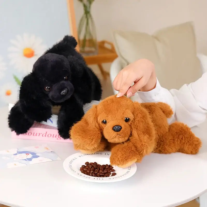 spitz nain peluche