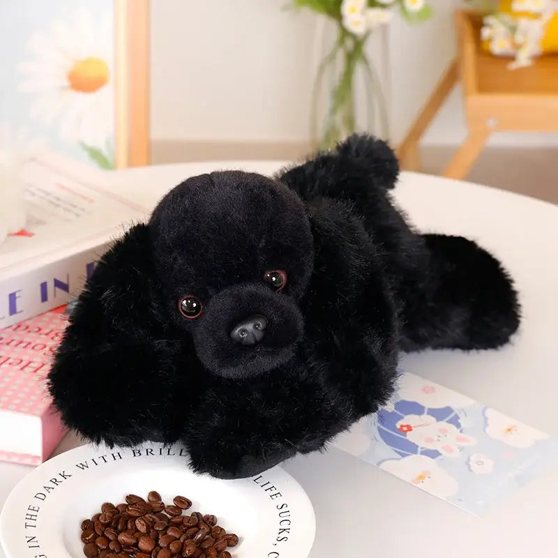 spitz nain peluche - Noir