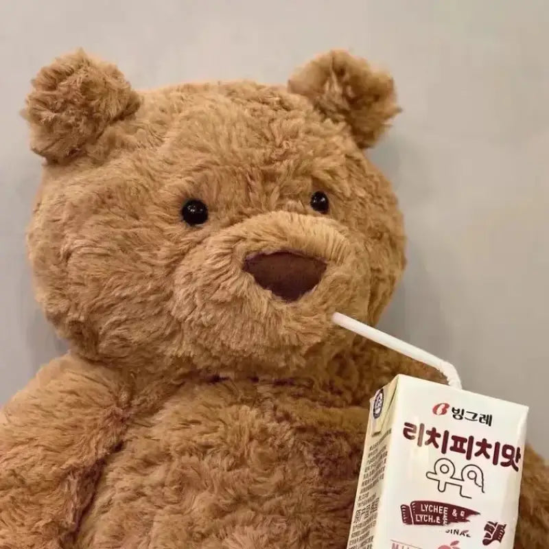 ours en peluche brun