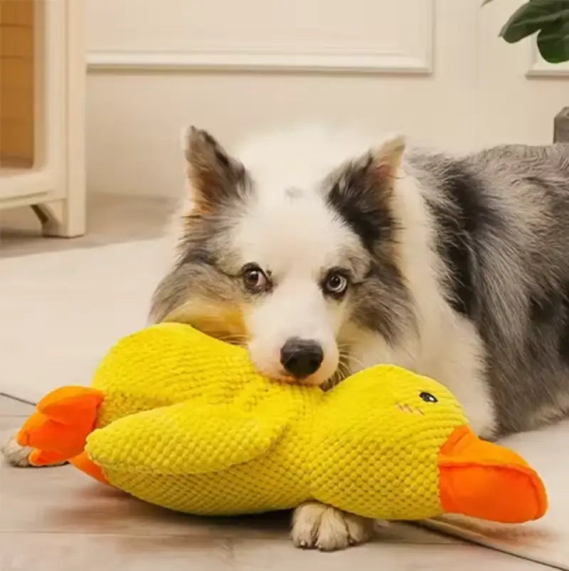 peluche canard pour chien - 25cm