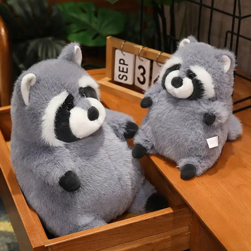 peluche raton laveur geant