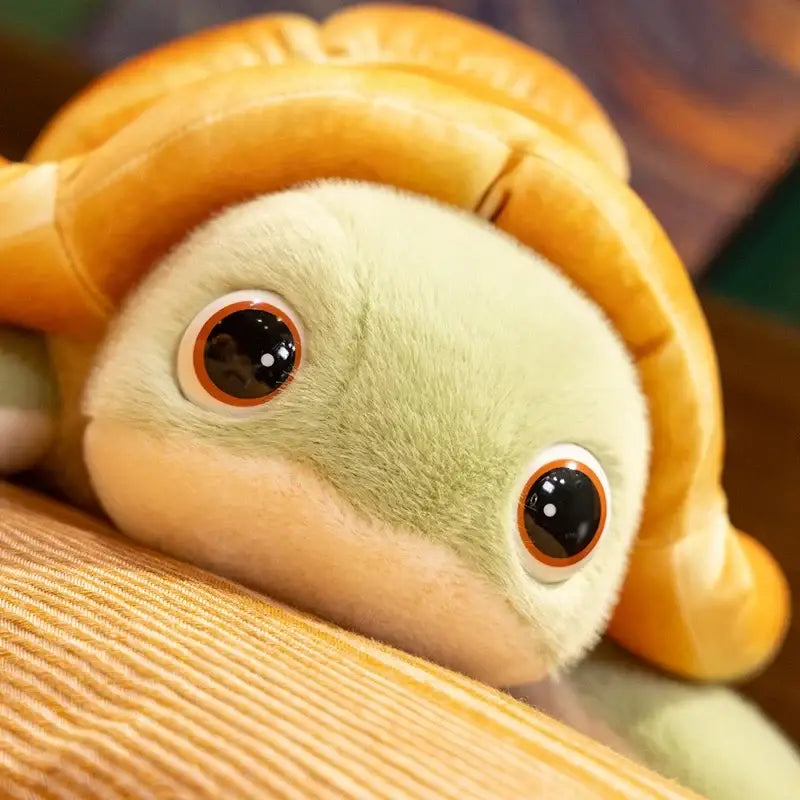tortue peluche gros yeux