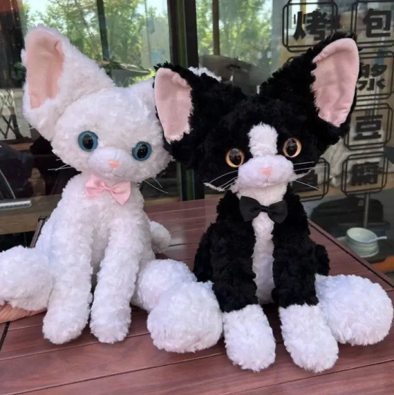peluche chat mignon